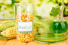 Ramah biofuel availability